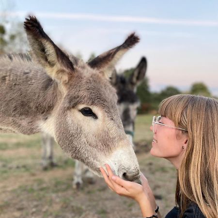 ショレ Jolie Tiny House Sous Les Grands Arbresヴィラ エクステリア 写真