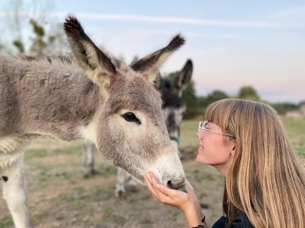 ショレ Jolie Tiny House Sous Les Grands Arbresヴィラ エクステリア 写真
