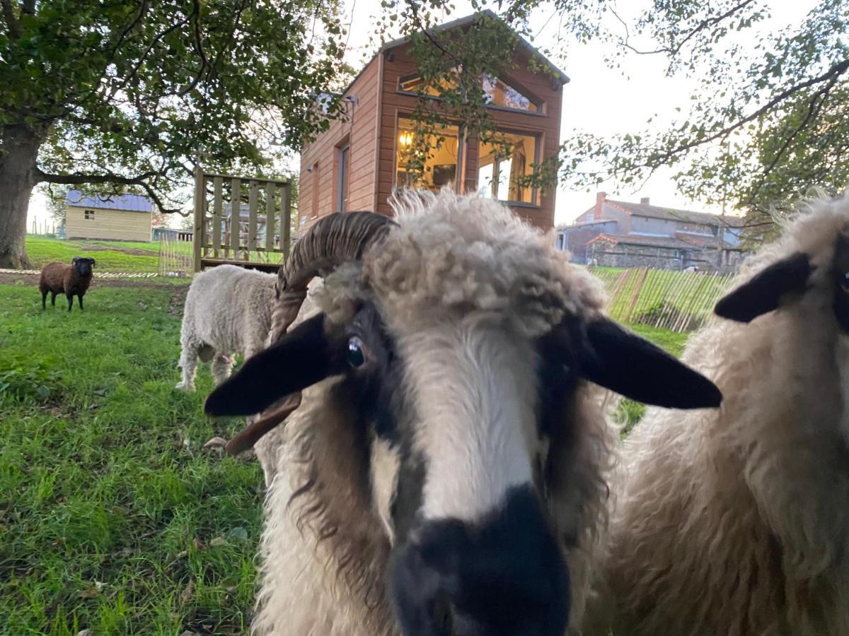 ショレ Jolie Tiny House Sous Les Grands Arbresヴィラ エクステリア 写真