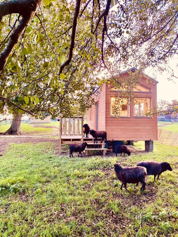 ショレ Jolie Tiny House Sous Les Grands Arbresヴィラ エクステリア 写真