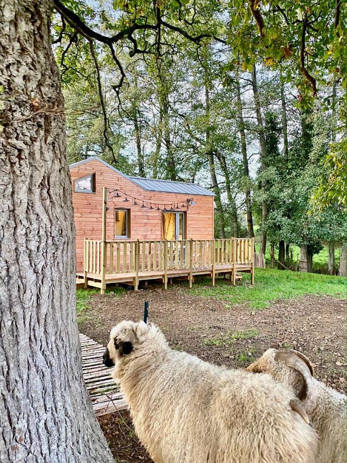 ショレ Jolie Tiny House Sous Les Grands Arbresヴィラ エクステリア 写真