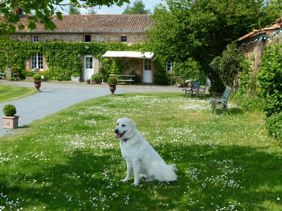 ショレ Jolie Tiny House Sous Les Grands Arbresヴィラ エクステリア 写真