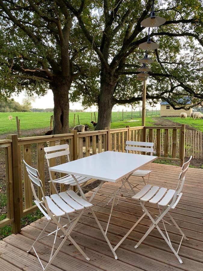 ショレ Jolie Tiny House Sous Les Grands Arbresヴィラ エクステリア 写真