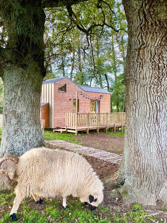 ショレ Jolie Tiny House Sous Les Grands Arbresヴィラ エクステリア 写真