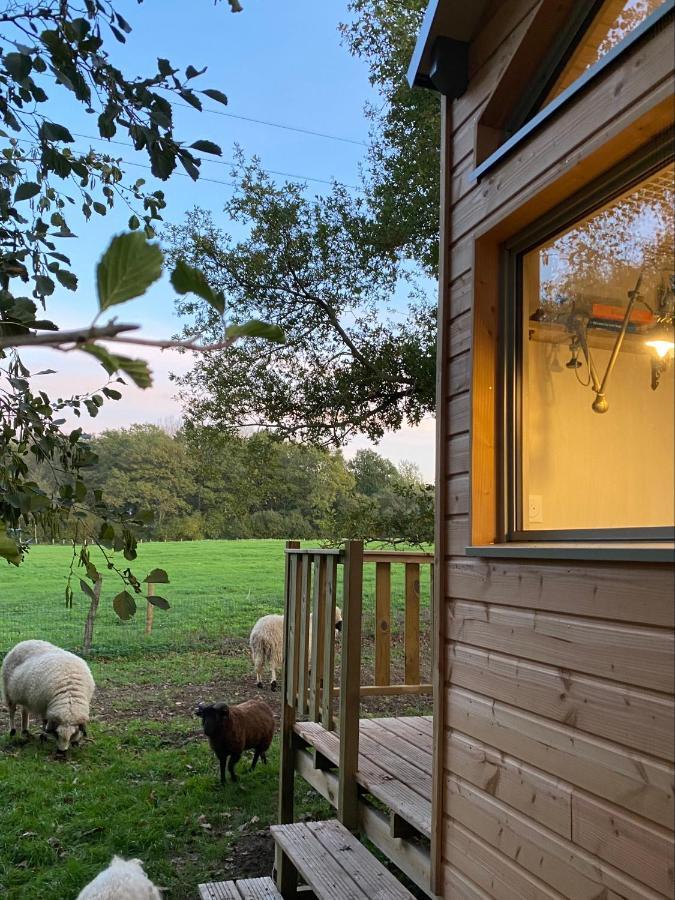 ショレ Jolie Tiny House Sous Les Grands Arbresヴィラ エクステリア 写真