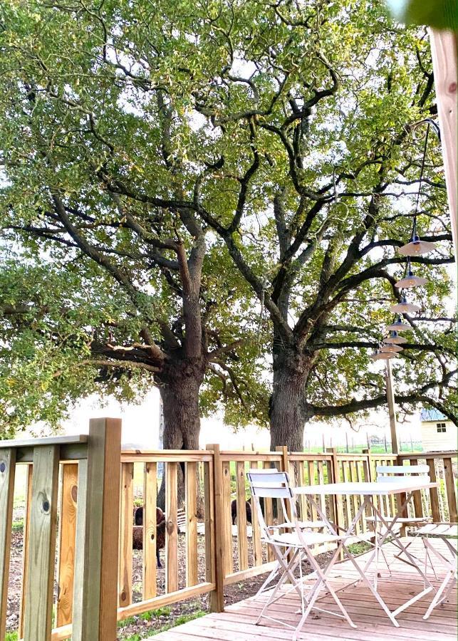ショレ Jolie Tiny House Sous Les Grands Arbresヴィラ エクステリア 写真